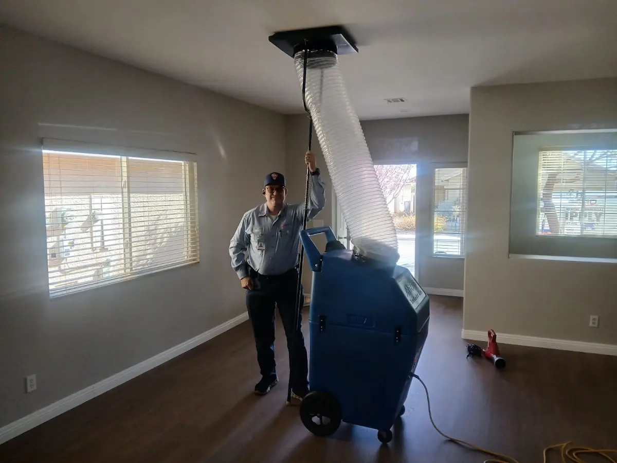 Professional Dryer Vent Cleaning work inside a Lynwood home